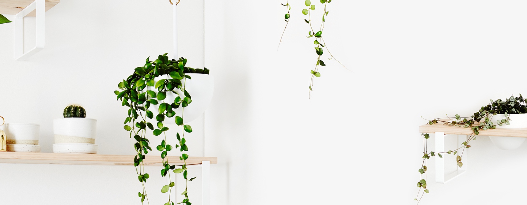 Homepage 08 Element 04