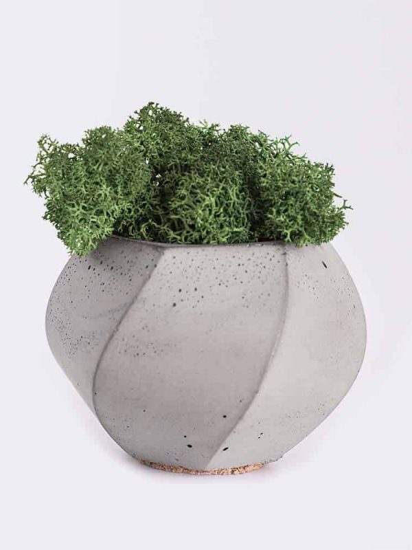 Dreamy Designs plant4 free img