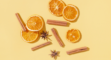 Warm vs. Fresh Fragrances: Which Is Right for Your Home? featured images