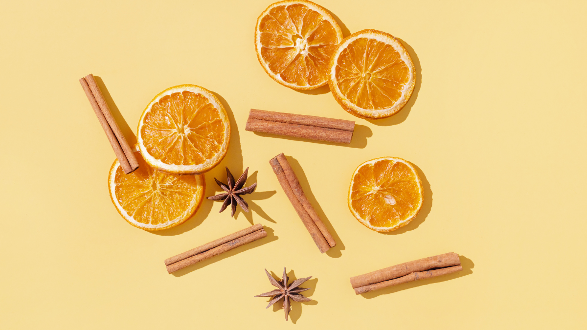 Warm vs. Fresh Fragrances: Which Is Right for Your Home?